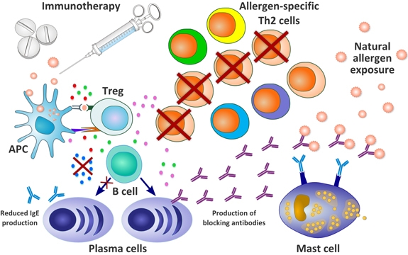 immunotherapy