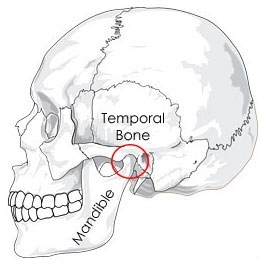 temporal mandibular joint