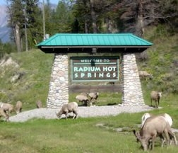 radium hot springs