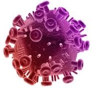 std virus