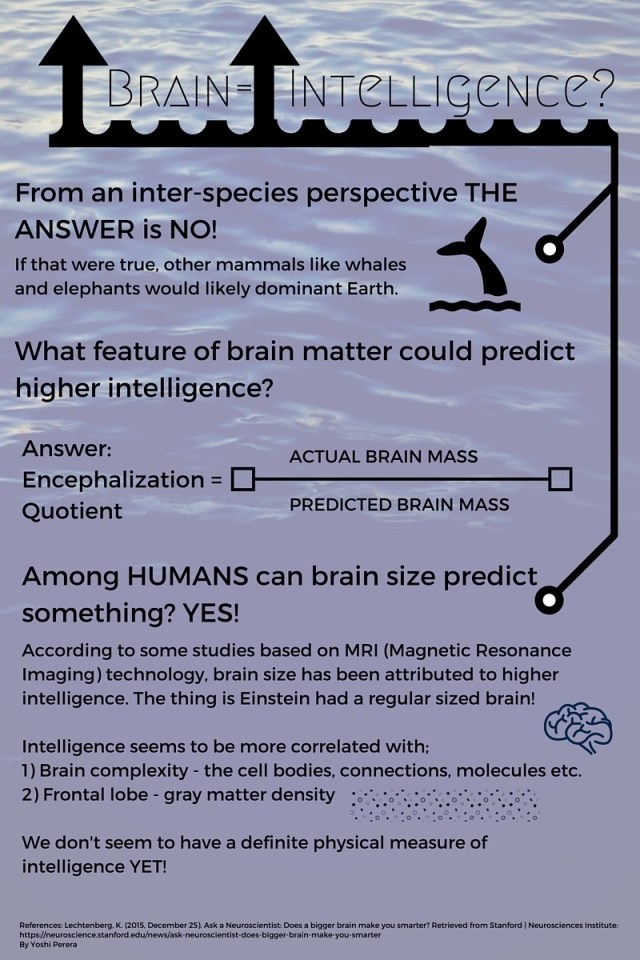 correlation between brain and intelligence