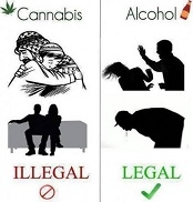 alcohol vs marijuana
