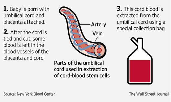 cord blood info