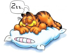 snoring cat