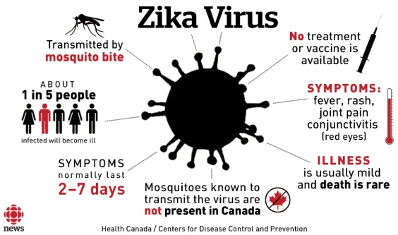 Zika virus