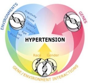 hypertension