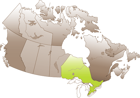 ontarioMap